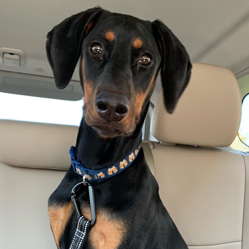 Meet your Posher, Tian